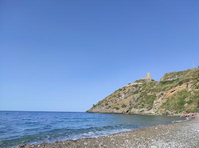 Sandee - Spiaggia - Ombelico Di Venere