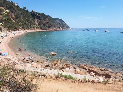 Sandee - Playa De La Corcollada