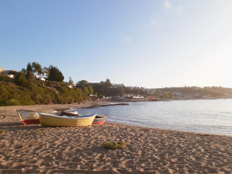 Sandee Conchilla Beach
