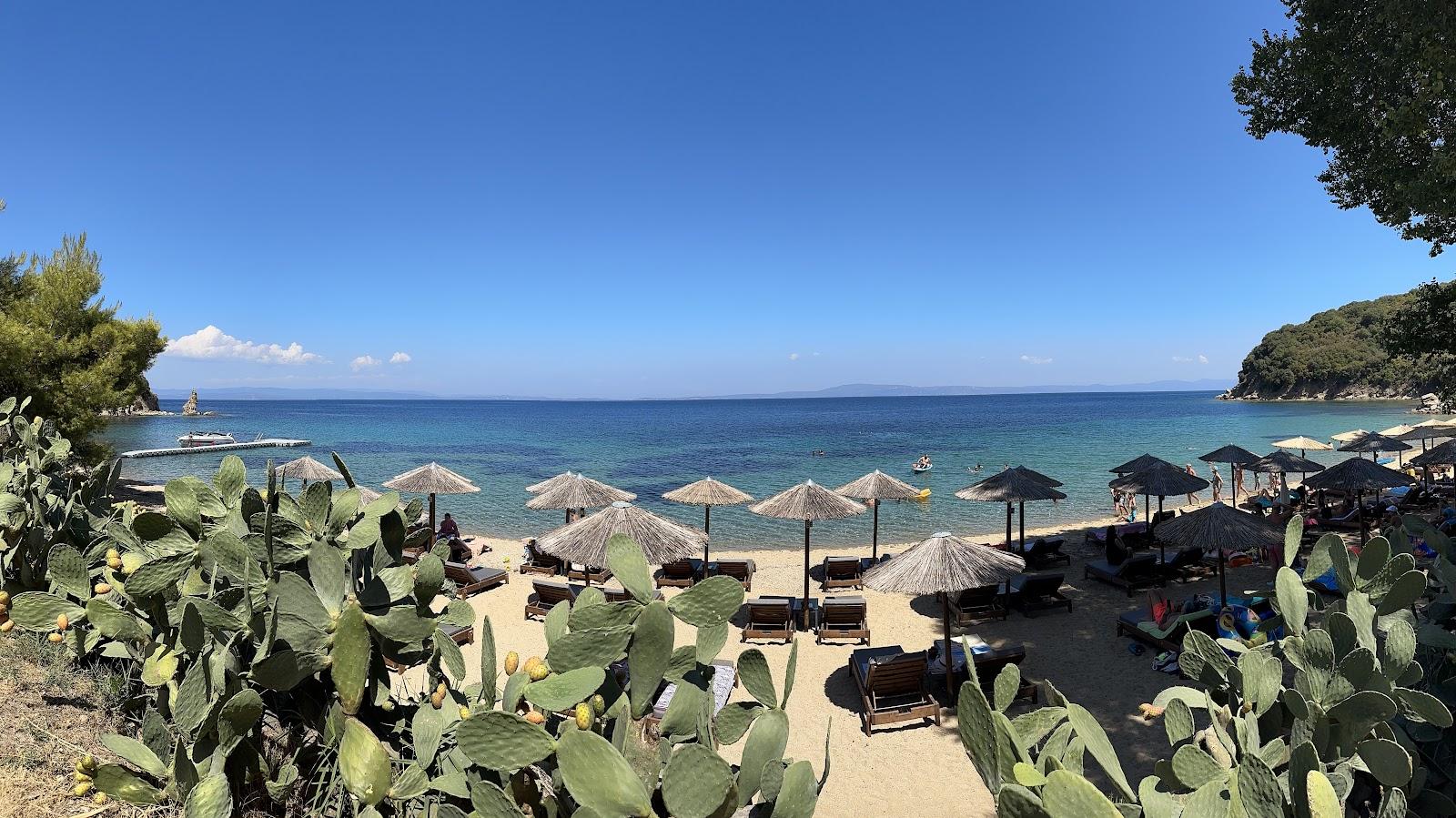 Sandee Rodia Beach