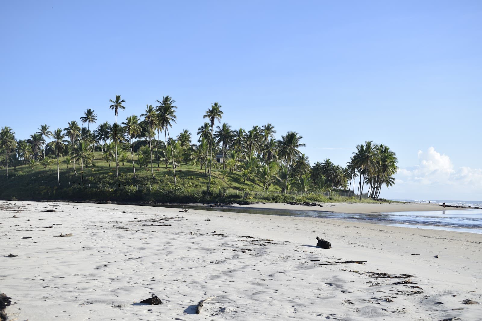 Sandee - Praia Do Cururupe