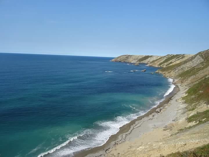 Sandee Playa De Vallinas O Del Gallo