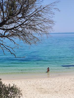 Sandee - Praia Dos Coelhos