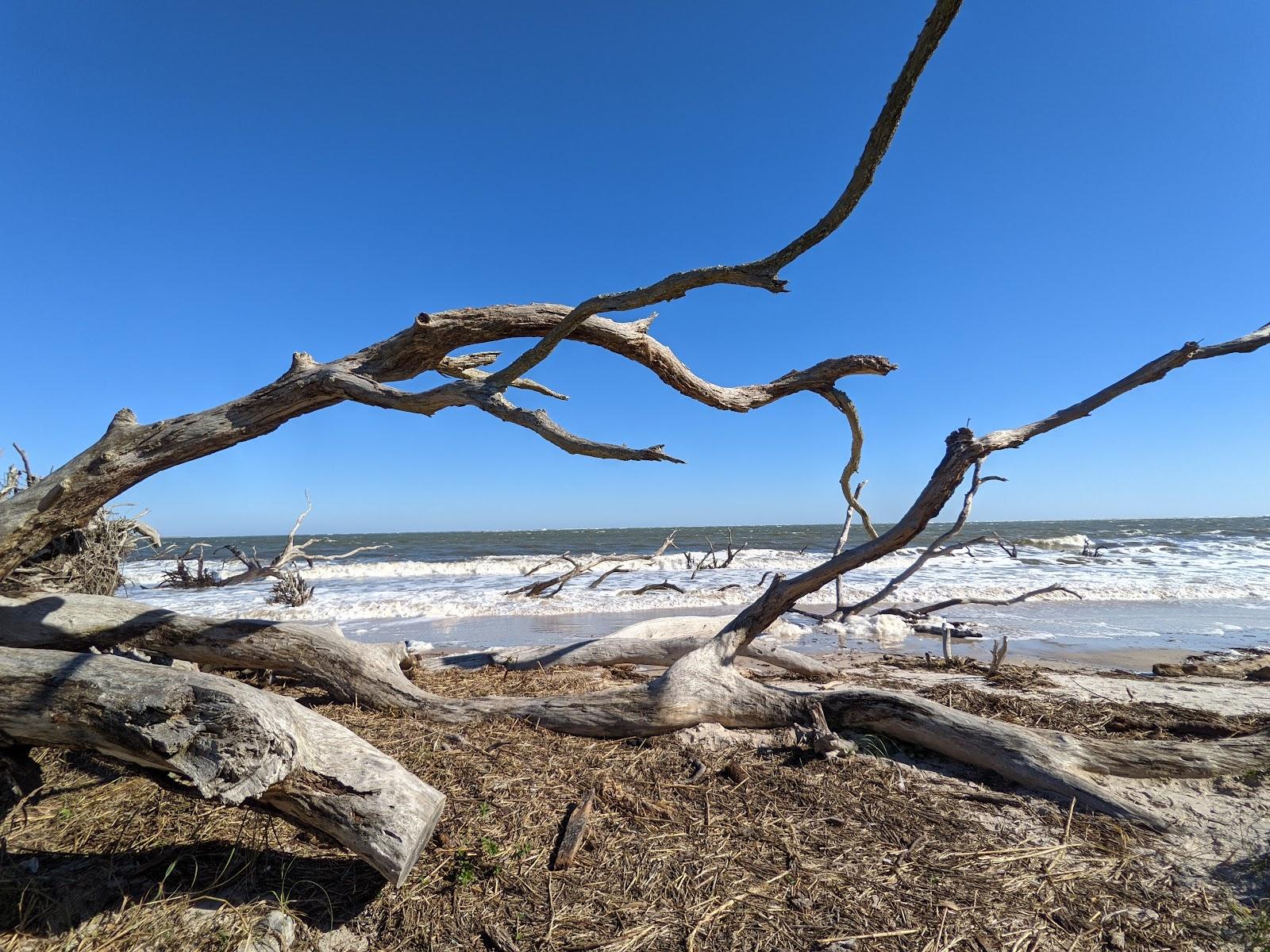 Sandee - Big Talbot Island State Park