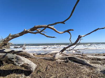 Sandee - Big Talbot Island State Park