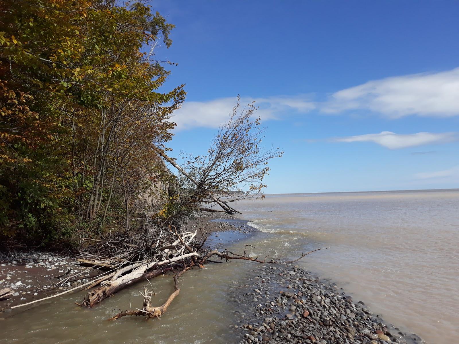 Sandee E.M. Warwick Conservation Area