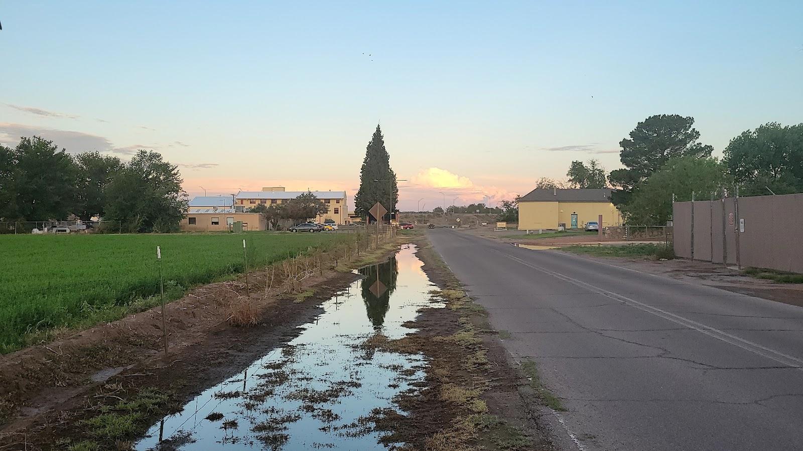 Sandee Cruces