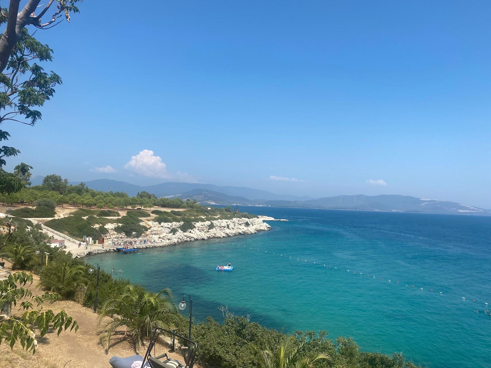 Sandee Didim Polis Moral Kampi