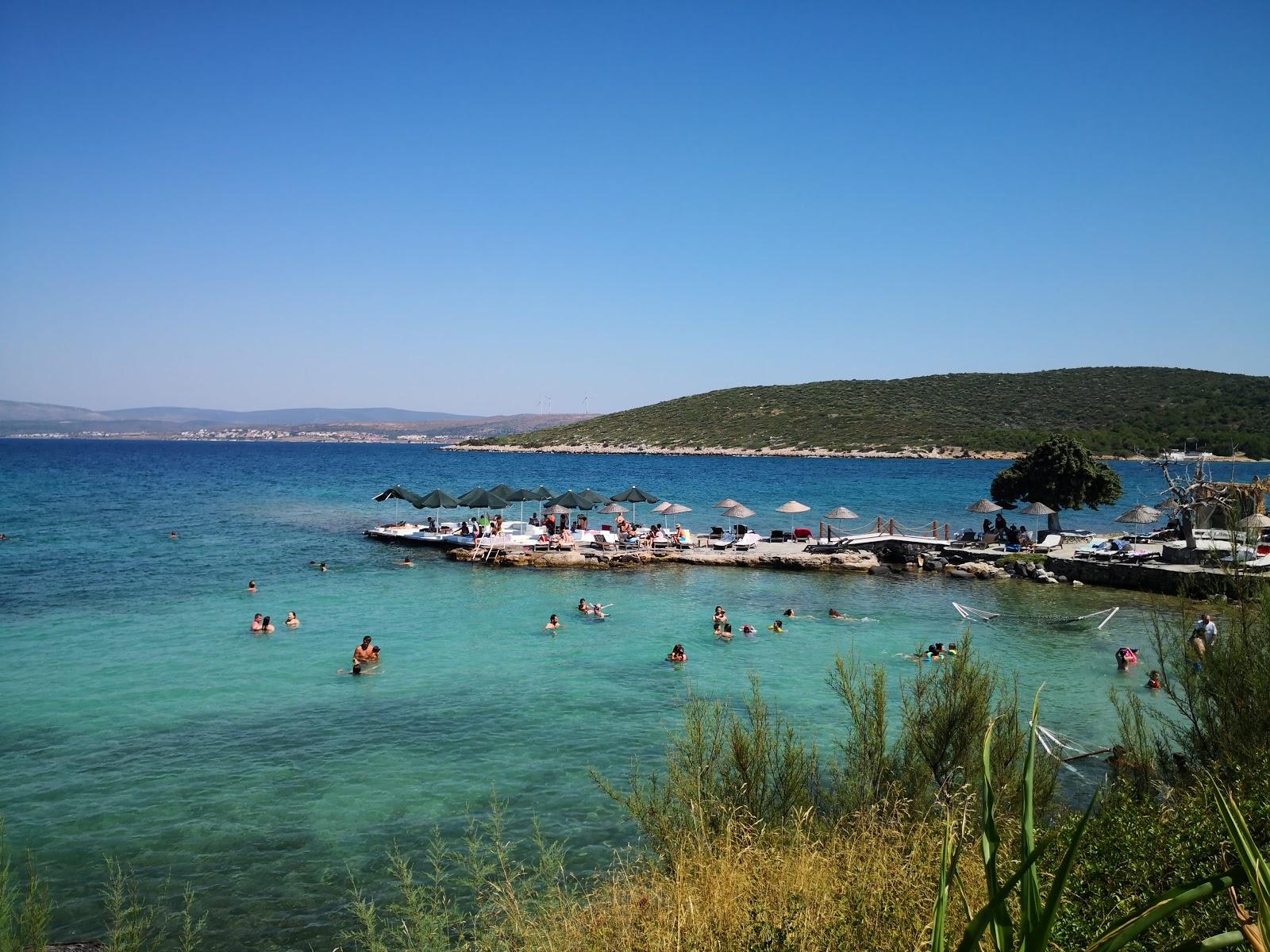 Sandee Cesme Dodo Beach