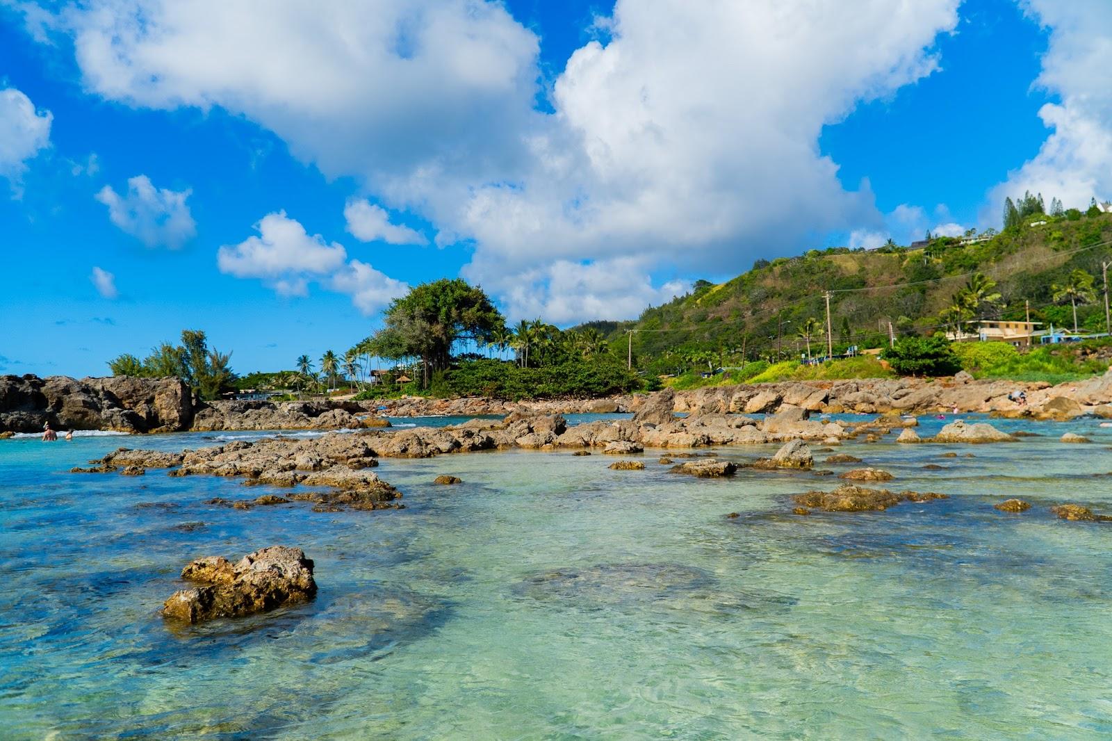 Sandee - Shark's Cove Beach