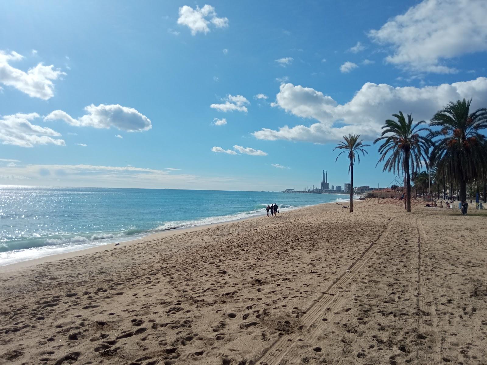 Sandee Platja Del Pont D'En Botifarreta Photo