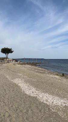 Sandee - Calf Pasture Point Beach