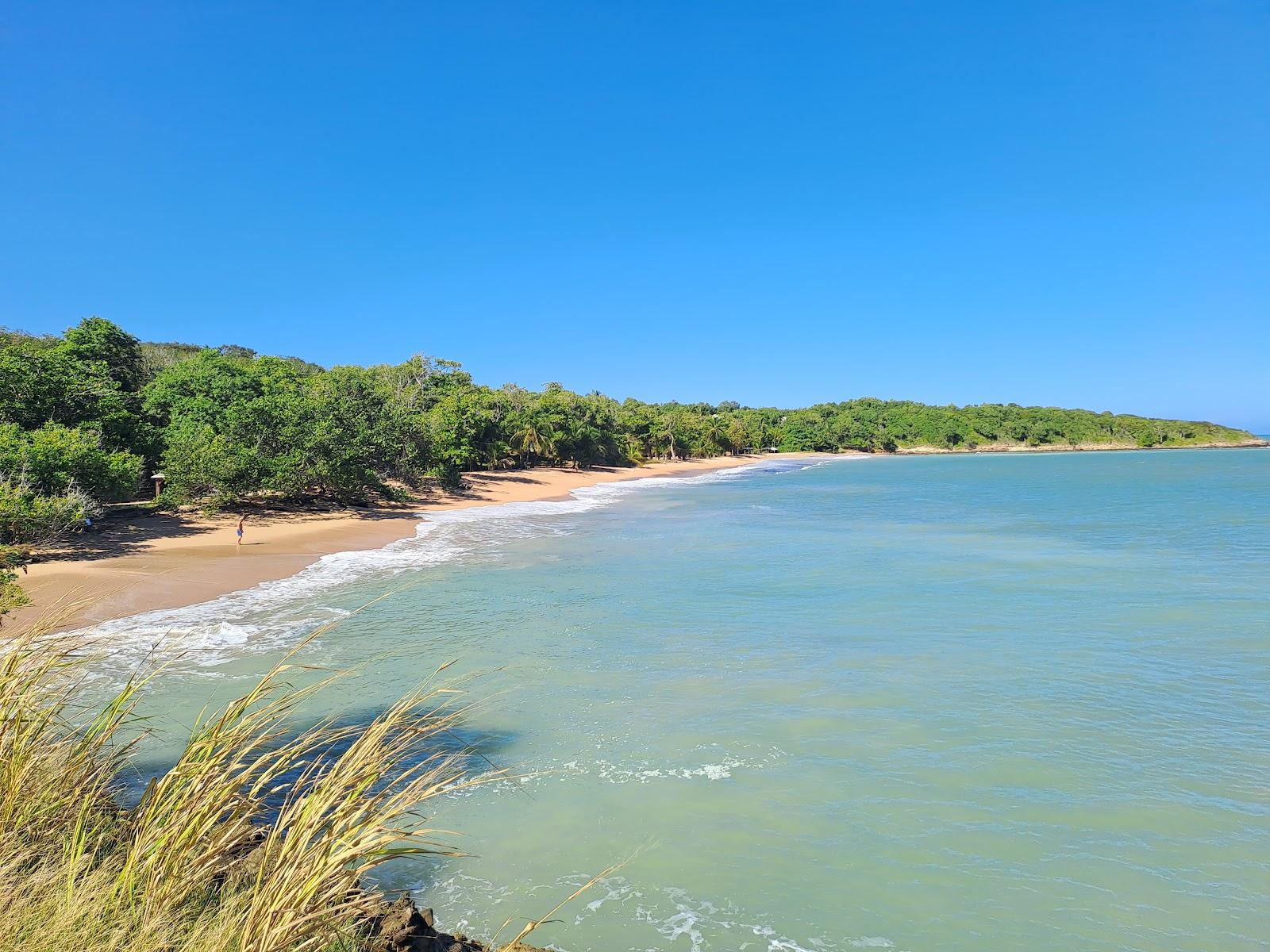 Sandee Plage Des Amandiers