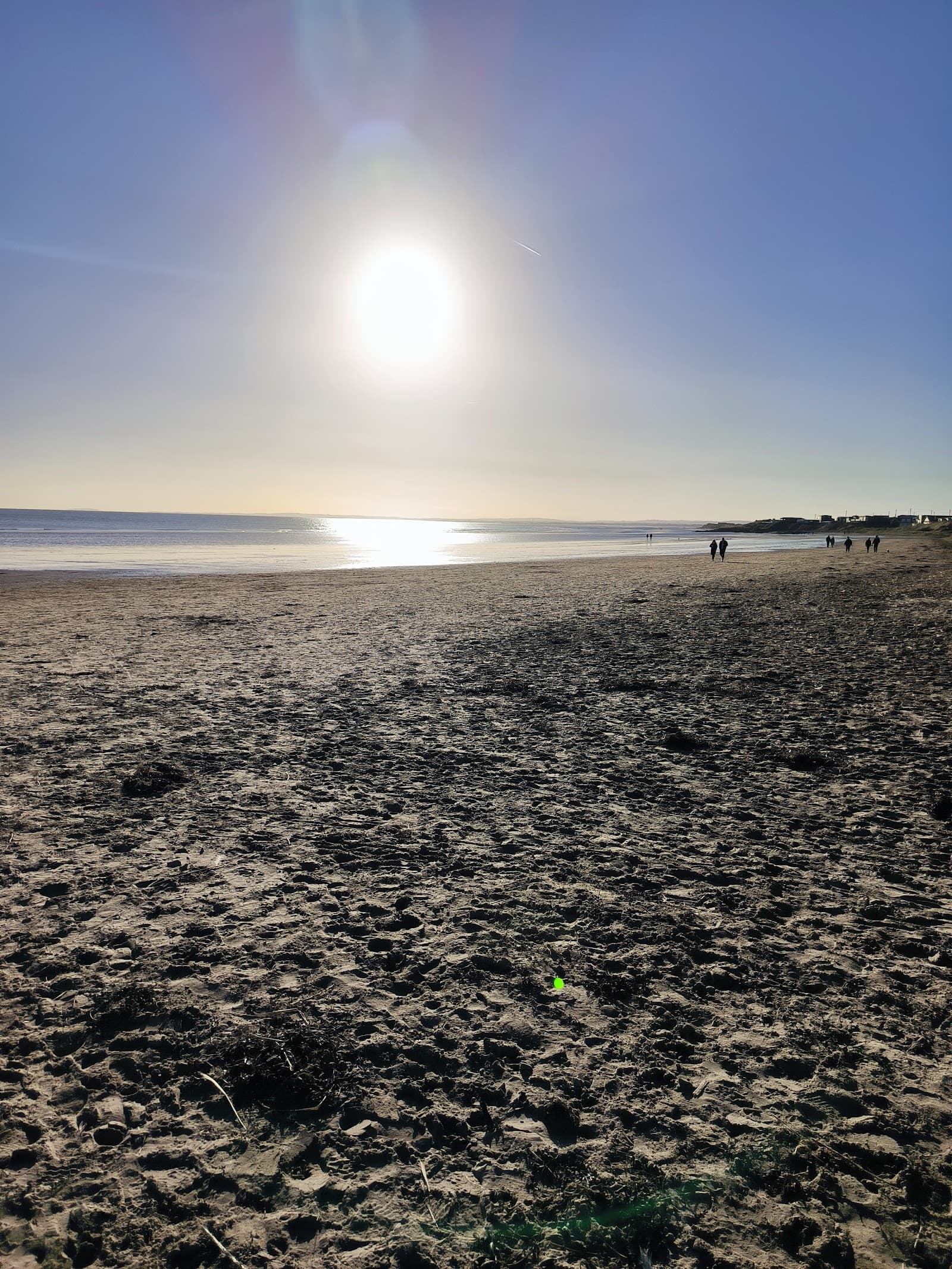 Sandee Clogherhead Beach Photo