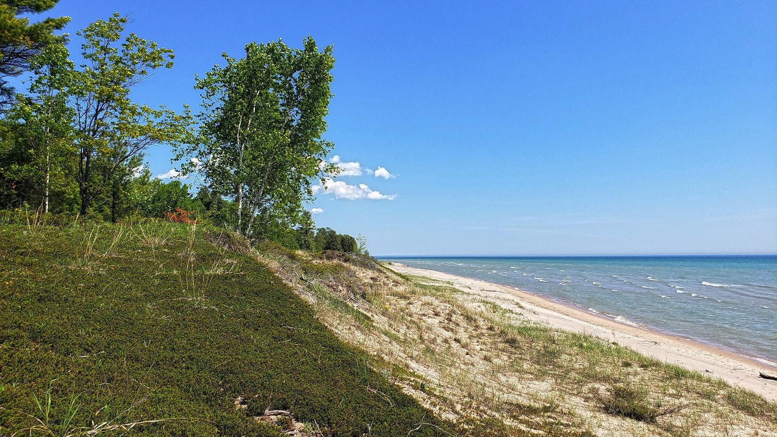 Sandee - Public Shoreline Beach State Forest Matrix Point