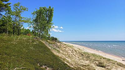 Sandee - Public Shoreline Beach State Forest Matrix Point