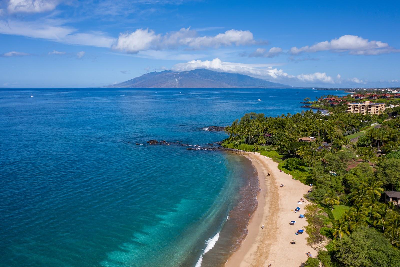 Sandee Palauea Beach