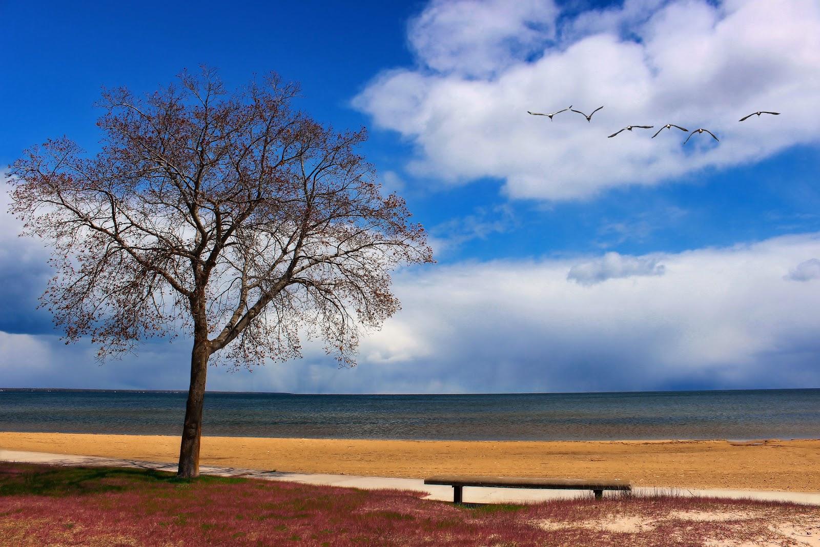 Sandee Starlite Beach Photo