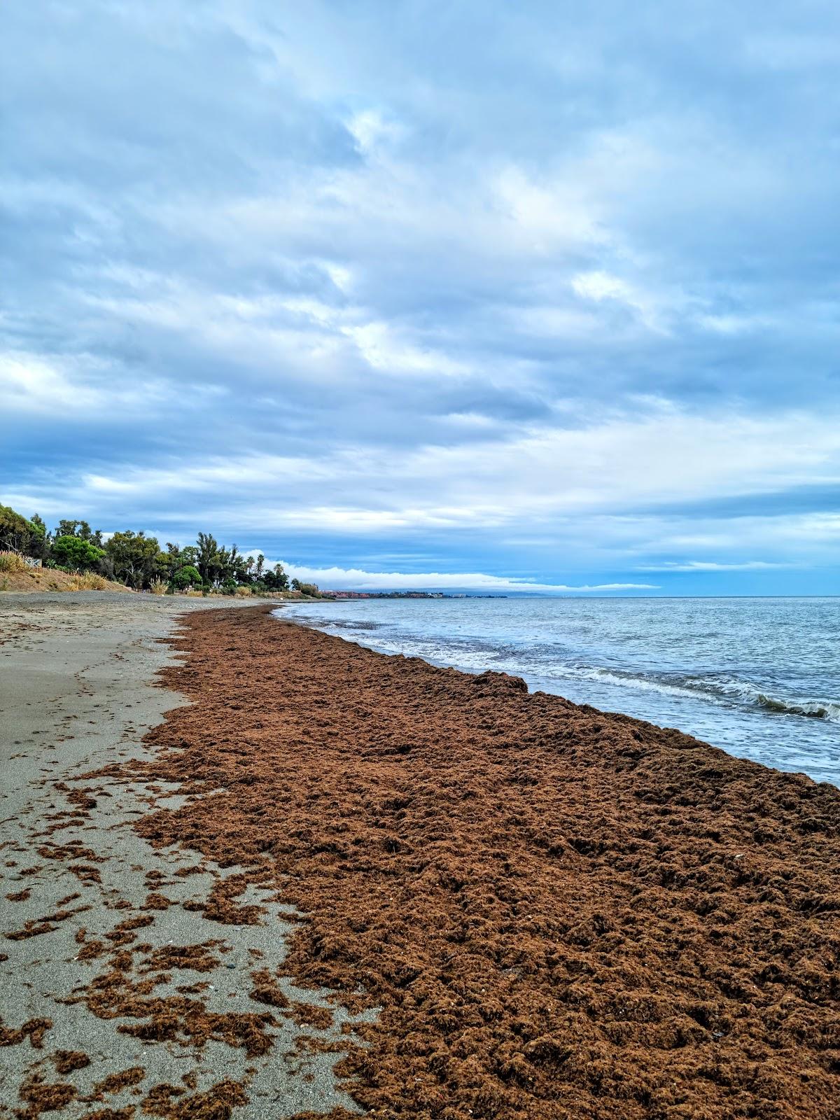 Sandee - Playa Del Padron