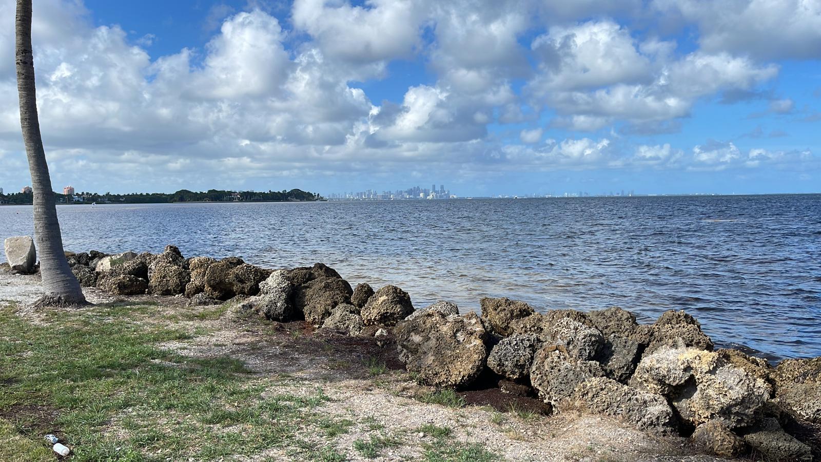 Sandee - Matheson Hammock Park