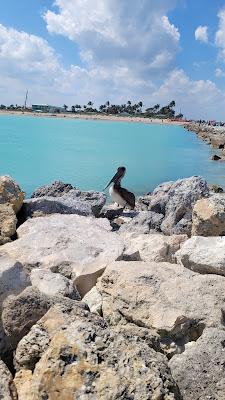 Sandee - Laura Ward Park Beach