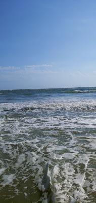 Sandee - Breach Inlet