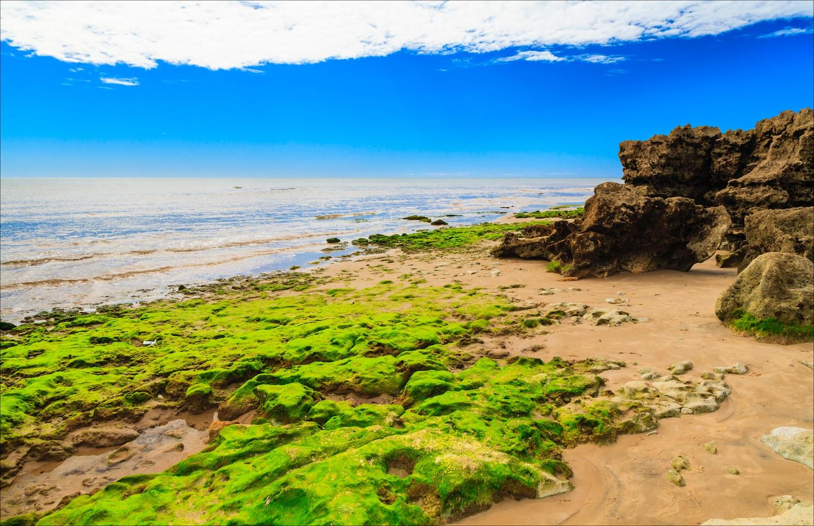 Sandee Plage D'Amborovy