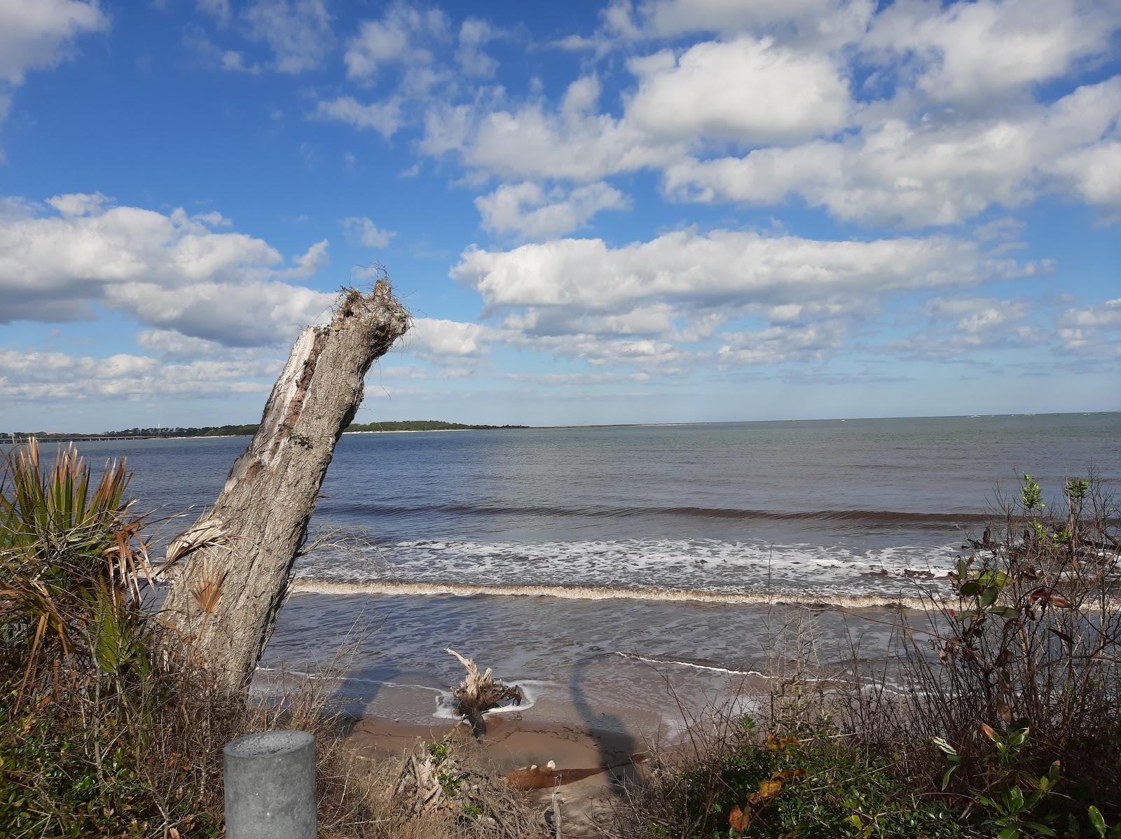 Sandee - Big Talbot Island State Park