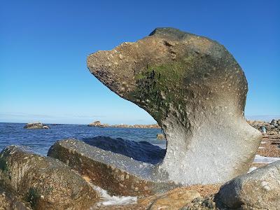 Sandee - Praia Dos Salgueiros