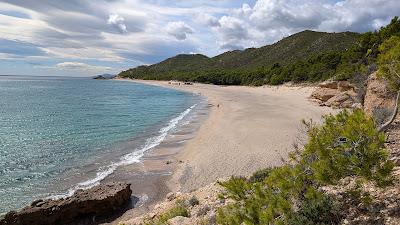 Sandee - El Torn Beach