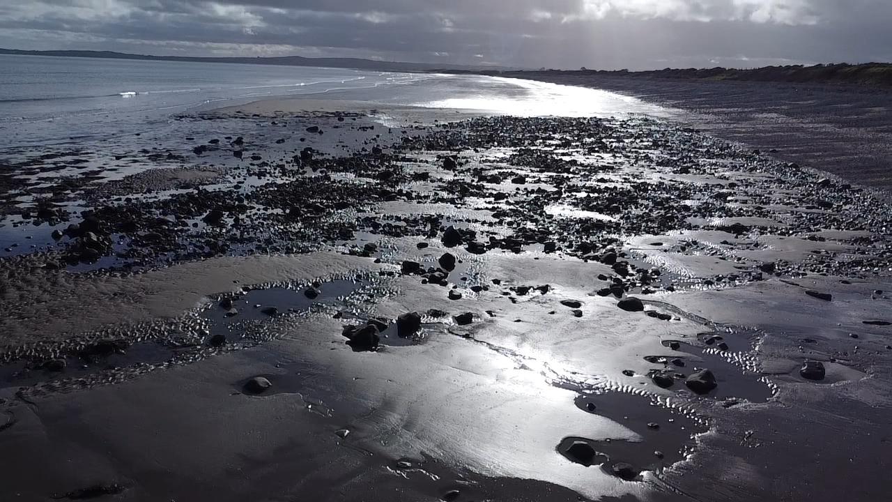 Sandee Dunany Bay Beach Photo