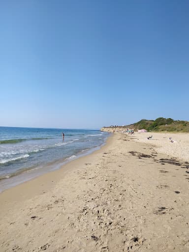 Sandee - Nesebar Plajı