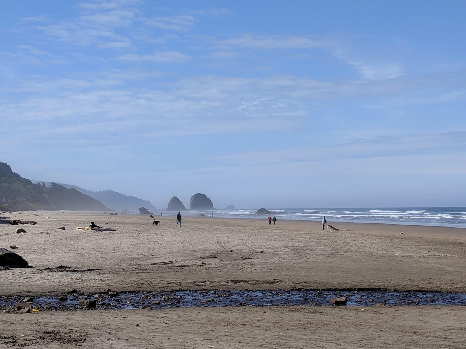 Sandee - Tolovana State Park Beach