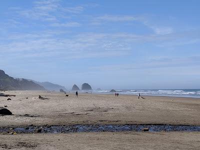 Sandee - Tolovana State Park Beach