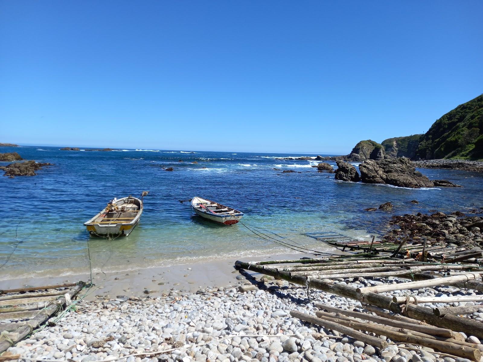 Sandee Caleta Perone