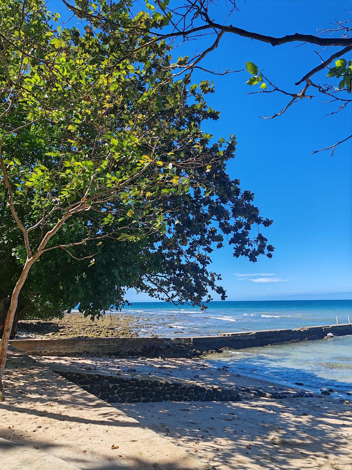 Sandee Ankla Beach