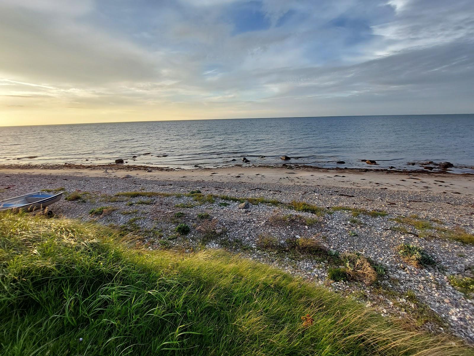 Sandee - The Beach Of Vollerup