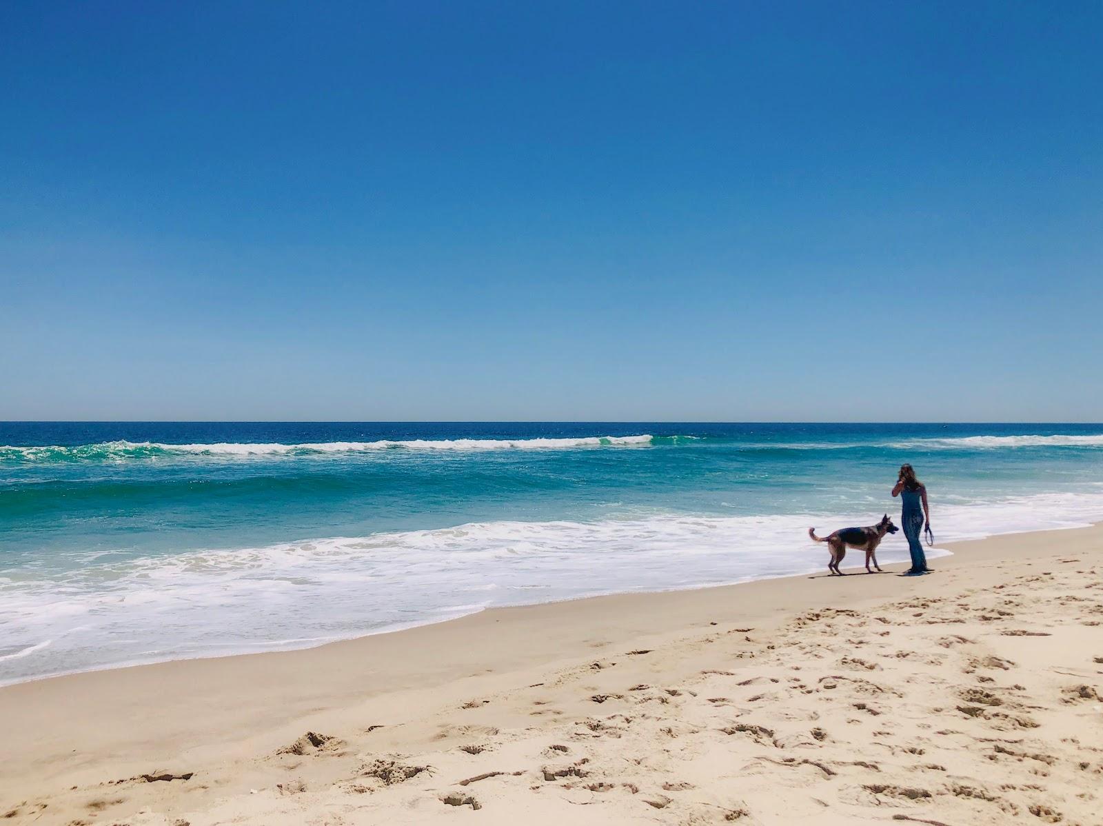 Sandee - Island Beach State Park