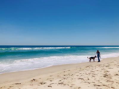 Sandee - Island Beach State Park