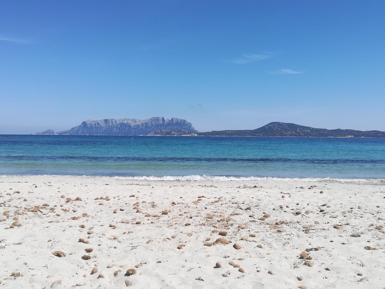 Sandee Spiaggia Lo Squalo
