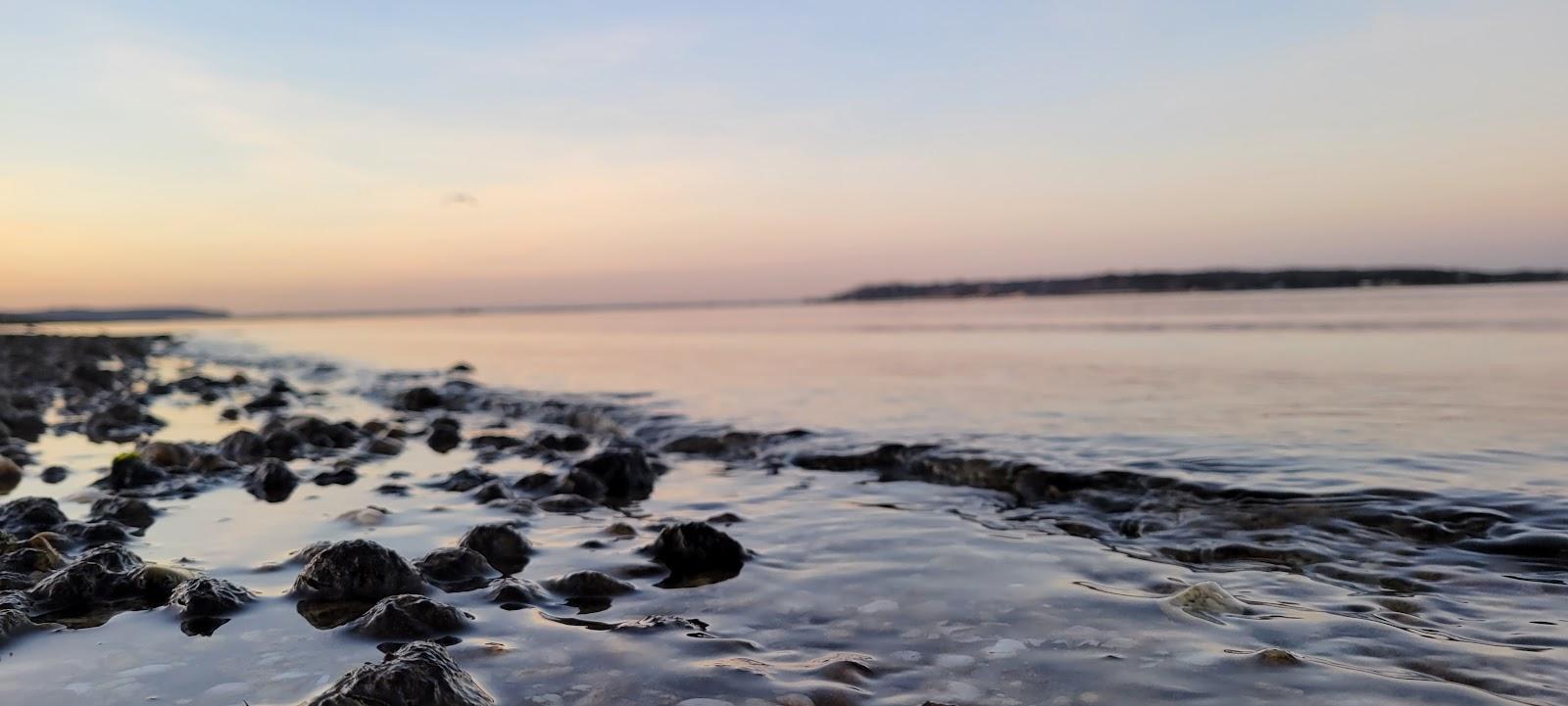 Sandee Fleets Cove Beach