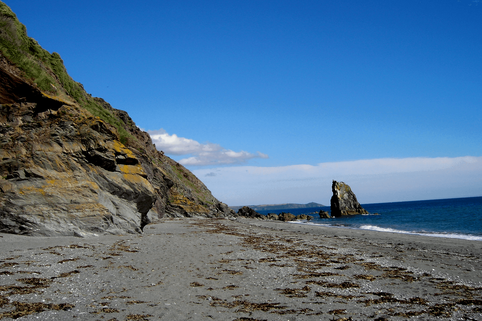 Sandee Shag Rock Beach Photo