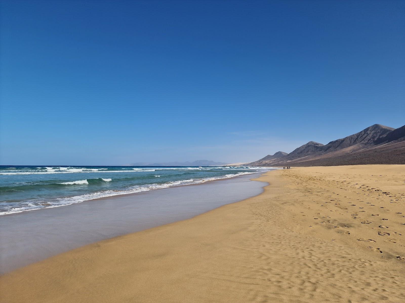 Sandee - Playa De Cofete