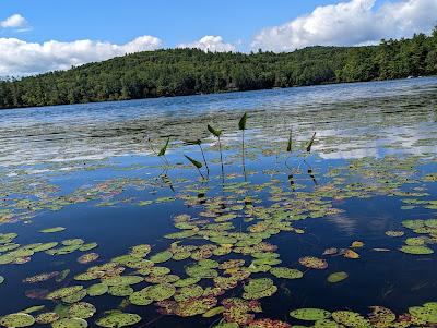 Sandee - Wadleigh State Park