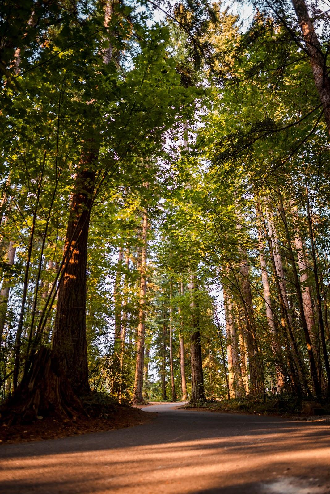 Sandee - Wenberg County Park