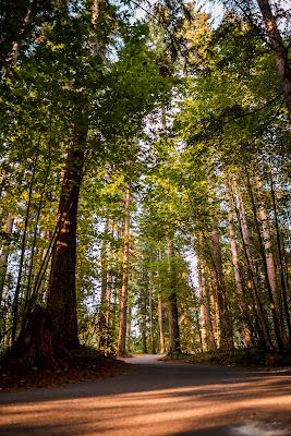 Sandee - Wenberg County Park