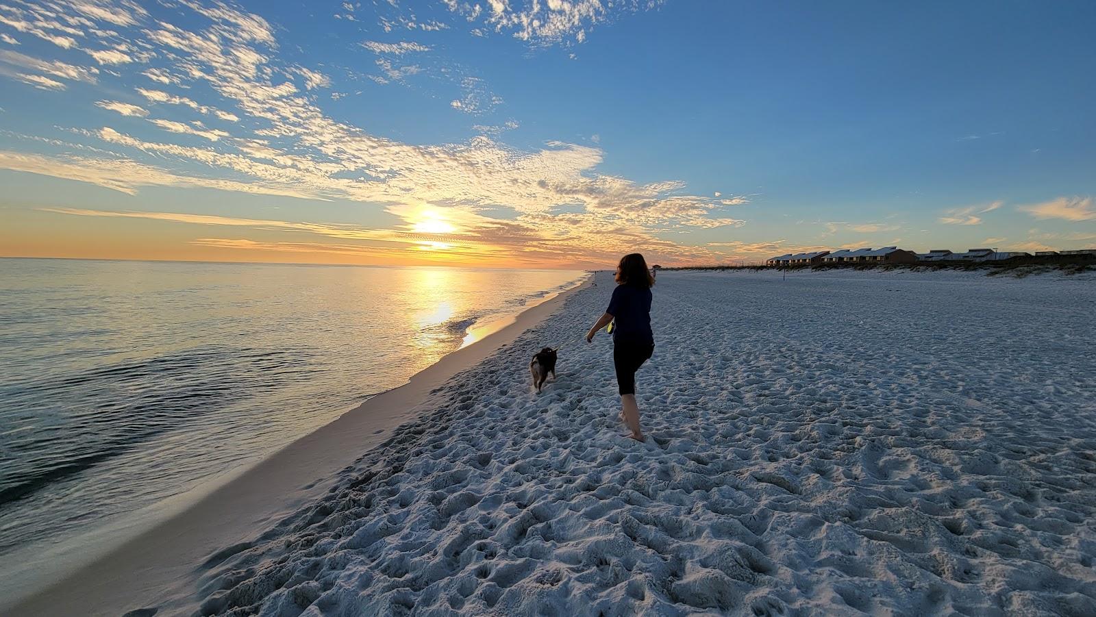 Sandee - Pensacola Dog Beach East