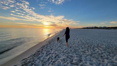 Sandee - Pensacola Dog Beach East