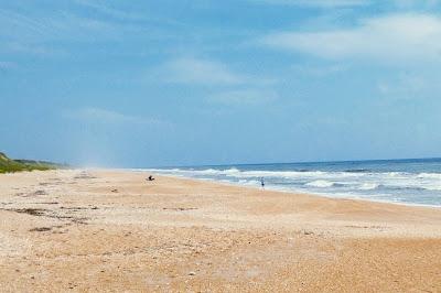 Sandee - Guana Reserve Middle Beach