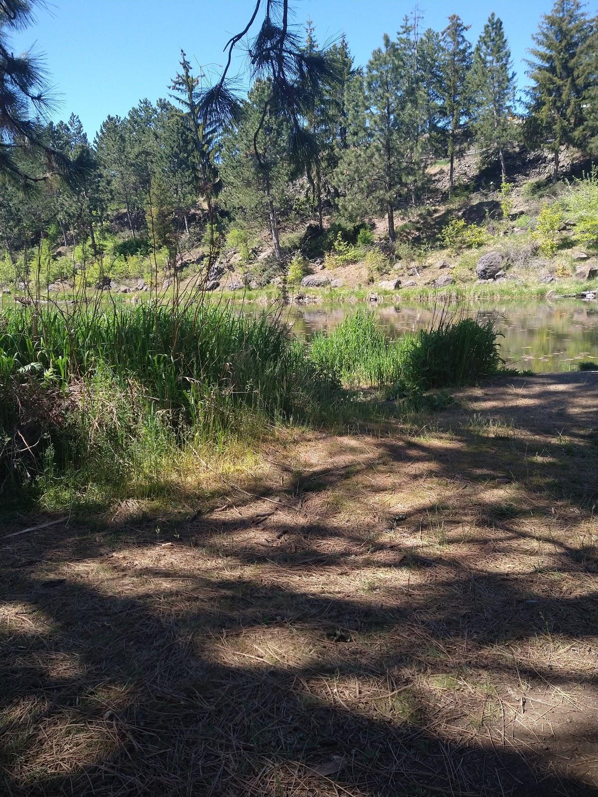 Sandee Fernan Park